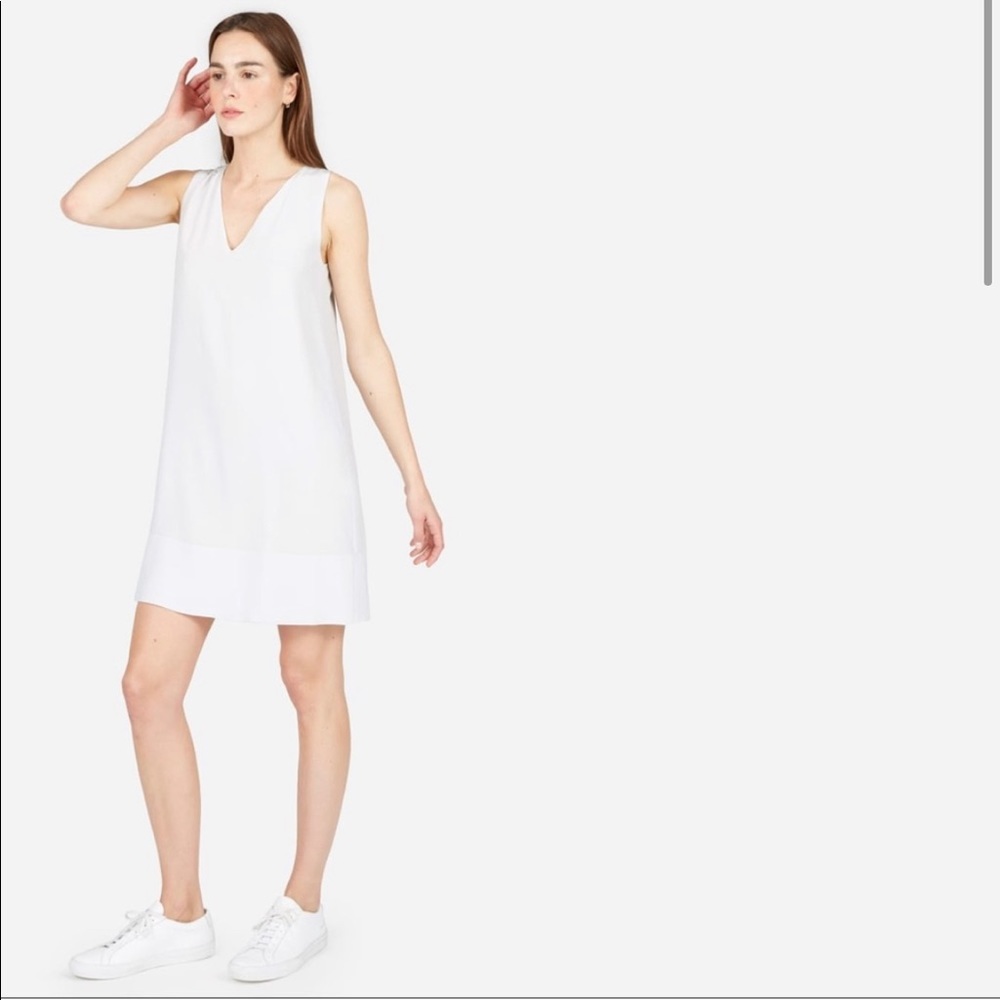 NWOT Everlane V Neck Silk Dress Sz 2